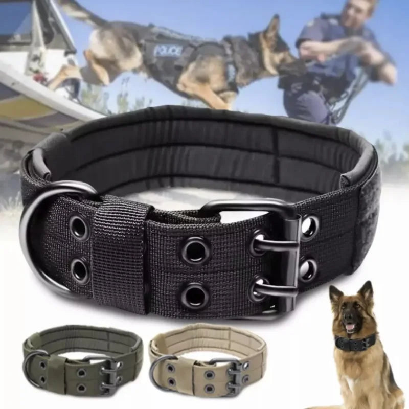 Durable tactical dog collar with heavy-duty metal buckle, shown in black, and variations in olive and beige. Ideal for training and service dogs, as depicted with a German Shepherd in action. Perfect for strength and control.