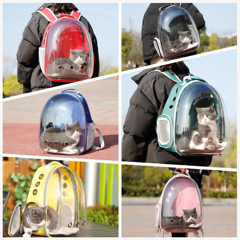 Cat Transparent Backpack Pet Friendly Supplies