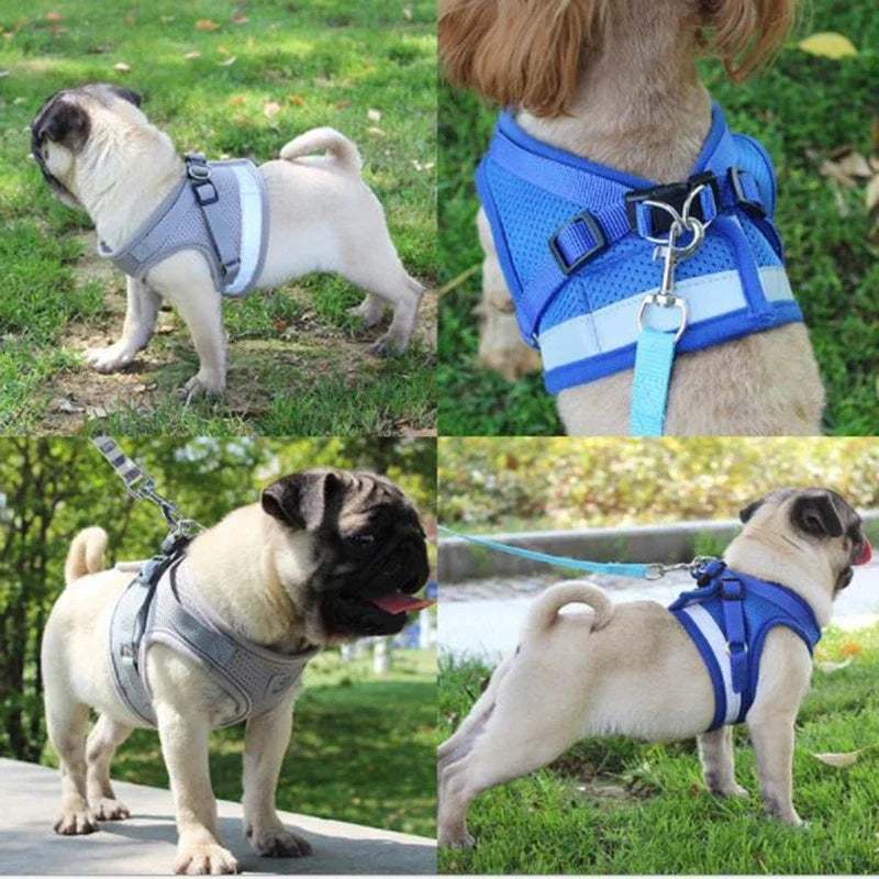 Adjustable Vest Dog Harness Pet Friendly Supplies