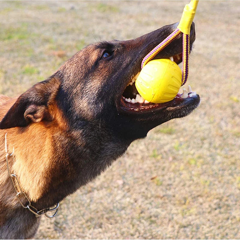 Interactive Rope Ball Toy For Play Chewing Dog Training Pet Friendly Supplies