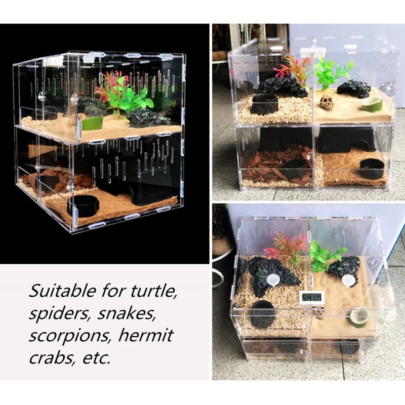 Reptile Terrarium Pet Friendly Supplies