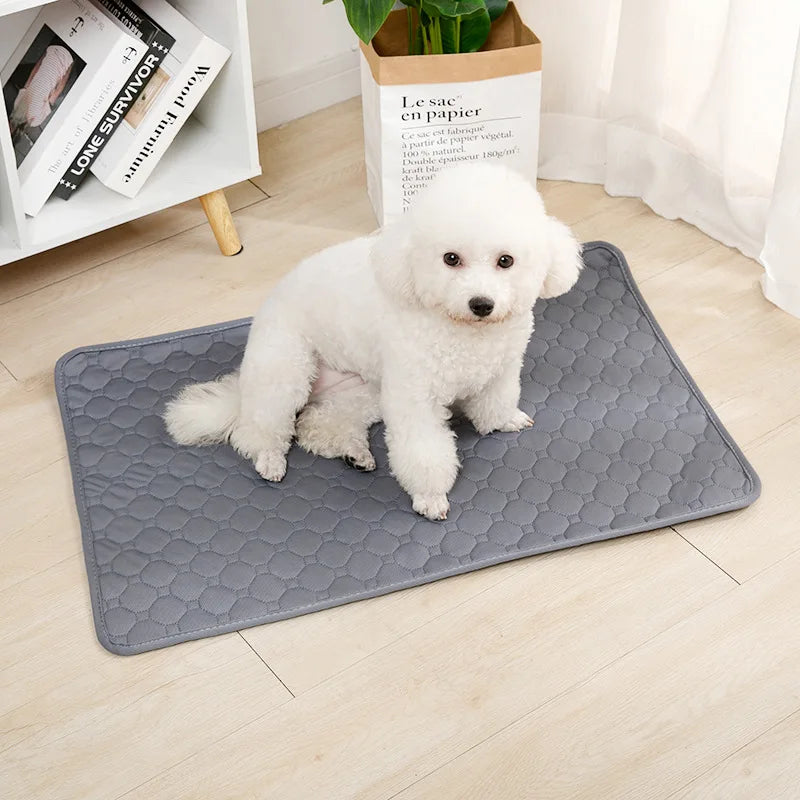 Reusable Dog Pee Pad Blanket Pet Friendly Supplies