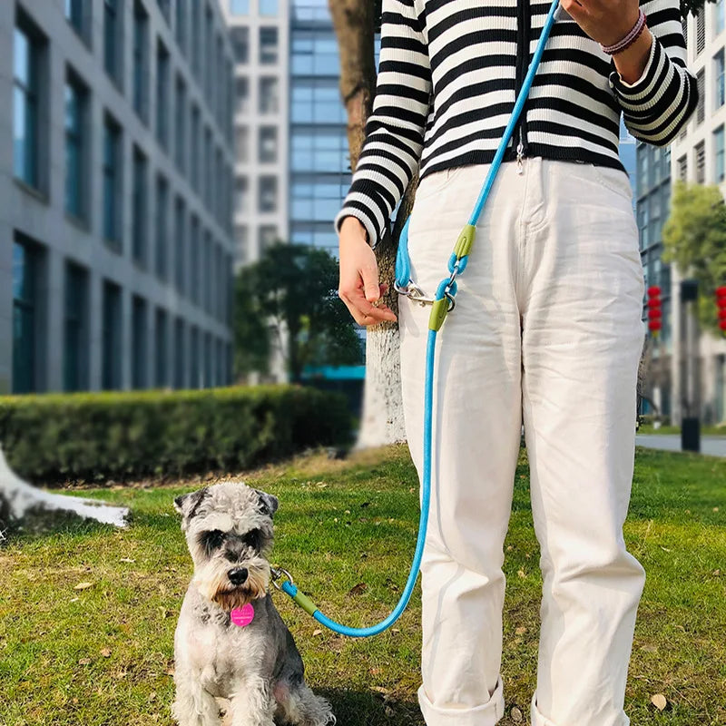 Reflective Nylon Leashes Pet Friendly Supplies