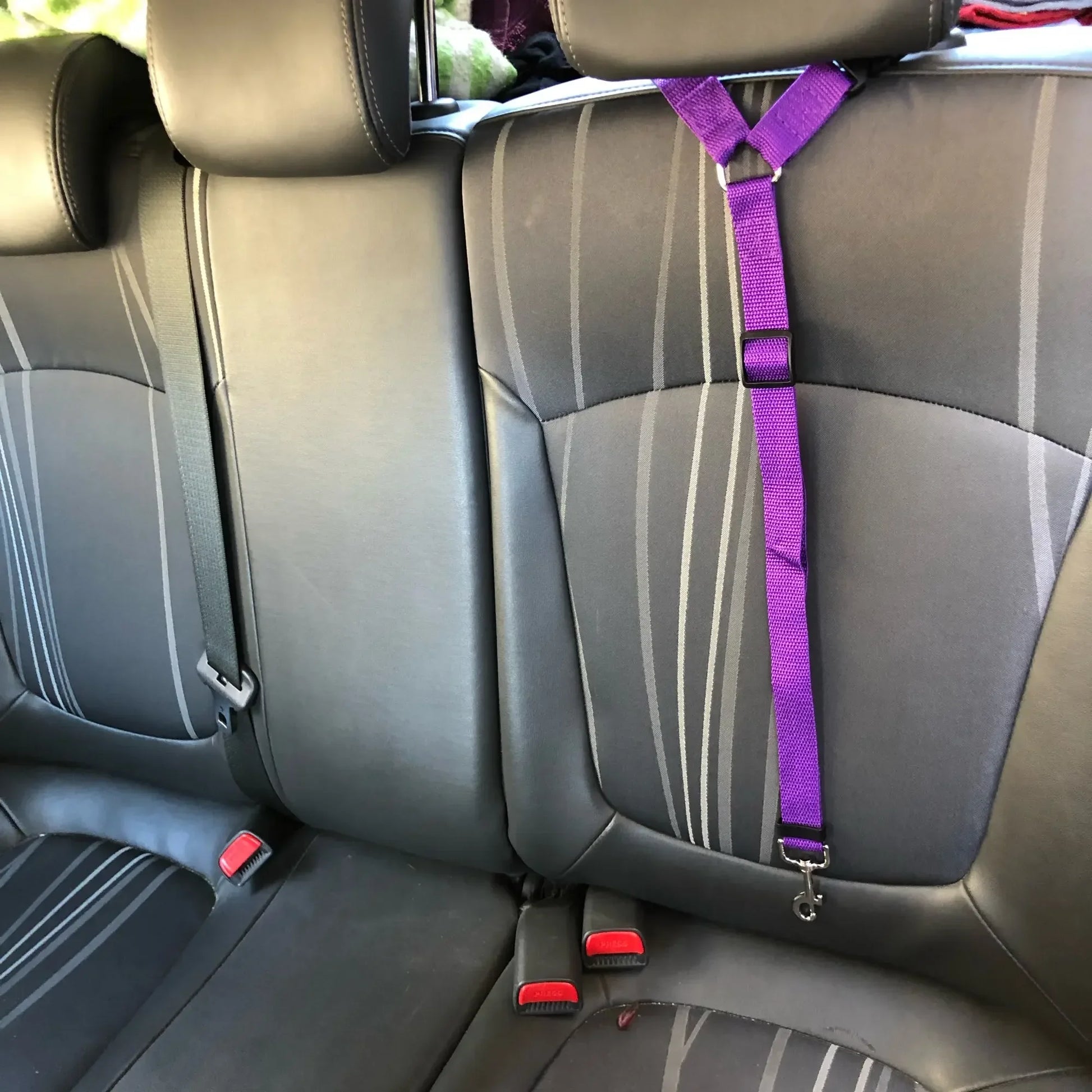 Car Safety Seat Belt For Dog Pet Friendly Supplies