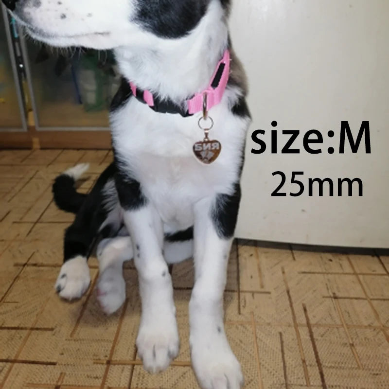 Personalised Dog ID Heart Tag Pet Friendly Supplies