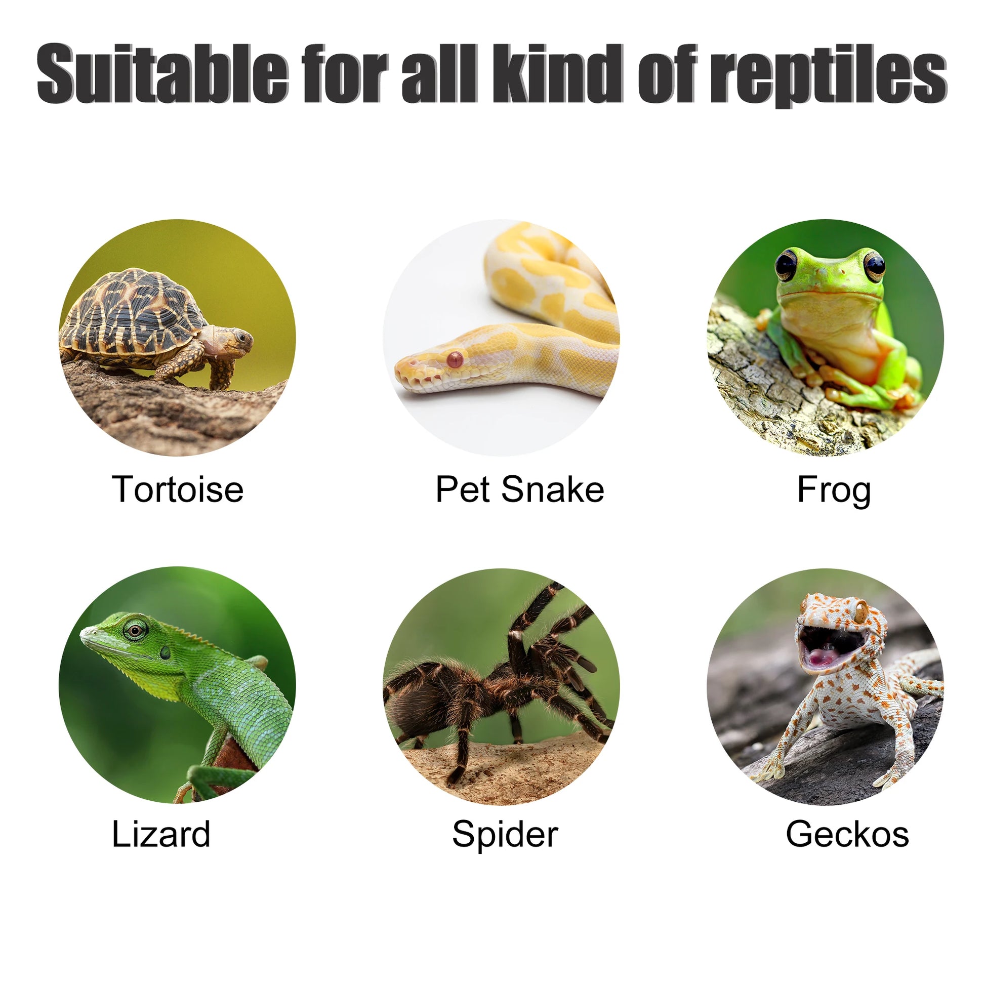 Reptile/ Fish Tank Floating Islands Hideaway - Pet Friendly Supplies