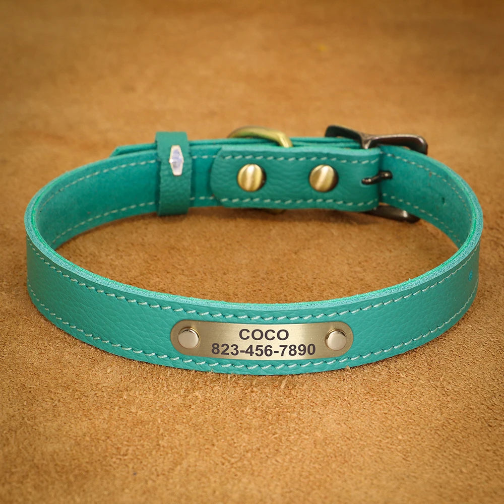 Personalised Leather Puppy Collar for  Dog - Pet Friendly Supplies