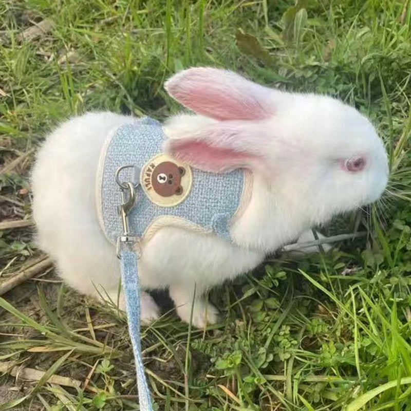 Cute Rabbit Harness and Leash Set Bunny Pet Accessories Pet Friendly Supplies