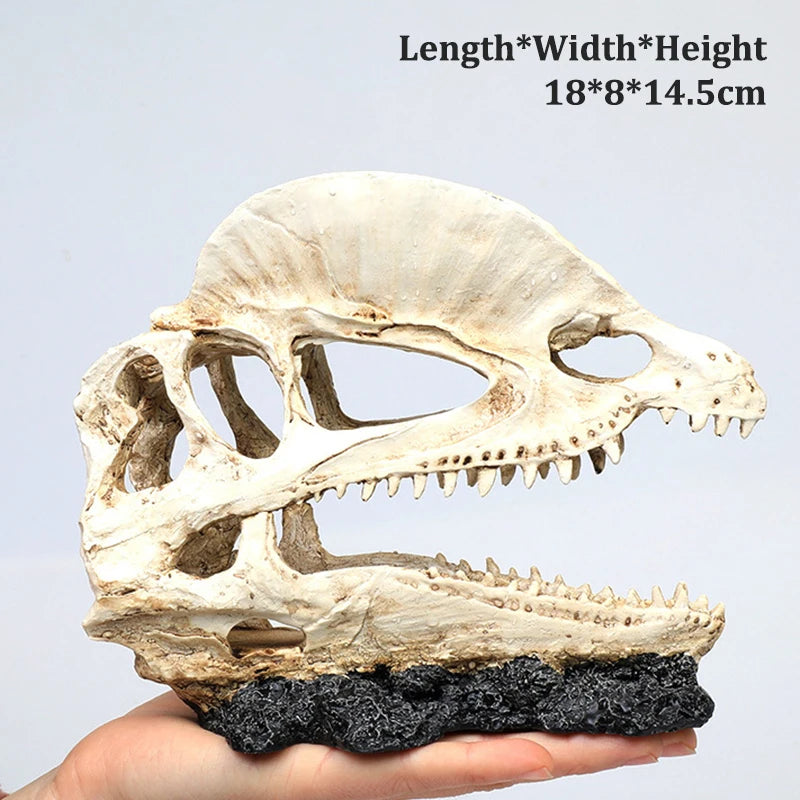 Resin Dinosaur Skull Ornament Fish Tank/Reptile Pet Friendly Supplies