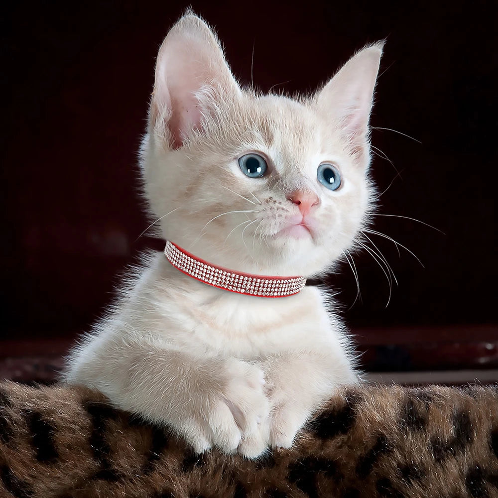 Soft Cat Collar With Rhinestones Pet Friendly Supplies