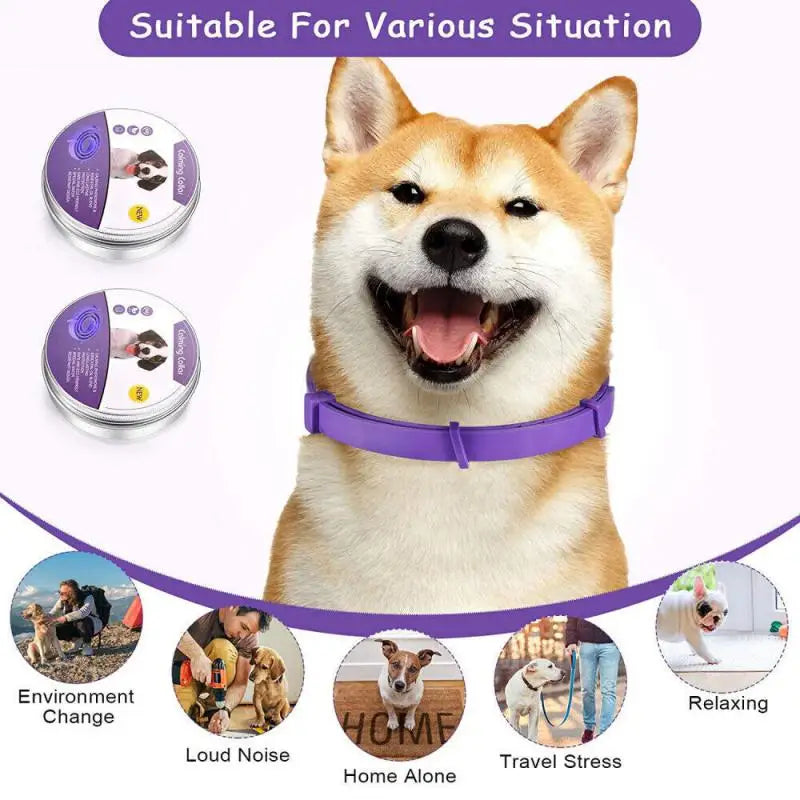 Pet Calming Collar Pet Friendly Supplies