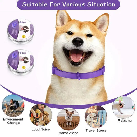 Pet Calming Collar