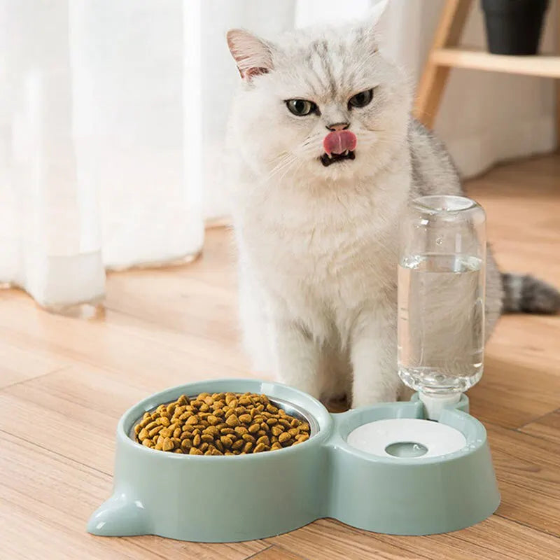 Blue 2 In 1 Bowl & Water Feeder Pet Friendly Supplies