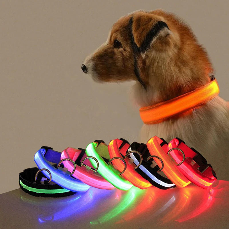 Luminous Led Collar Pet Friendly Supplies