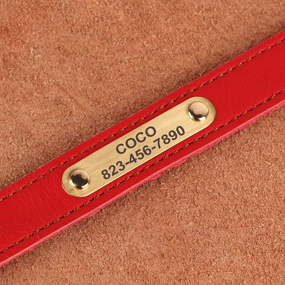 Personalised Leather Puppy Collar for  Dog - Pet Friendly Supplies