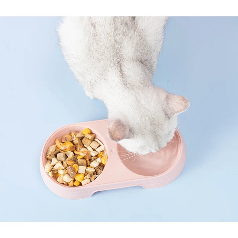 Plastic Double Feeding Bowl Pet Friendly Supplies