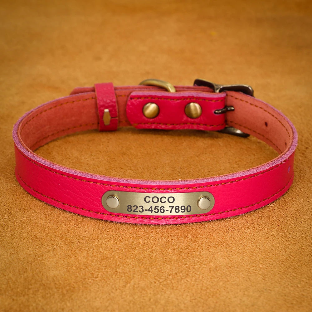 Personalised Leather Puppy Collar for  Dog - Pet Friendly Supplies