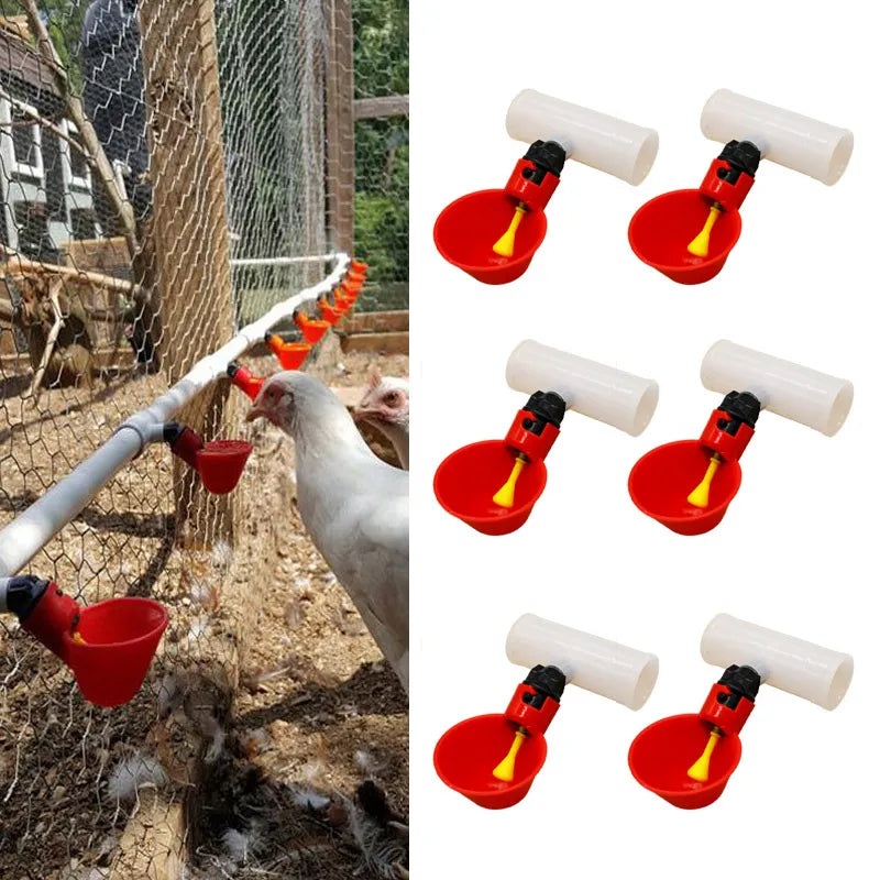 10Pcs Automatic Chicken Drinking Water System - Pet Friendly Supplies