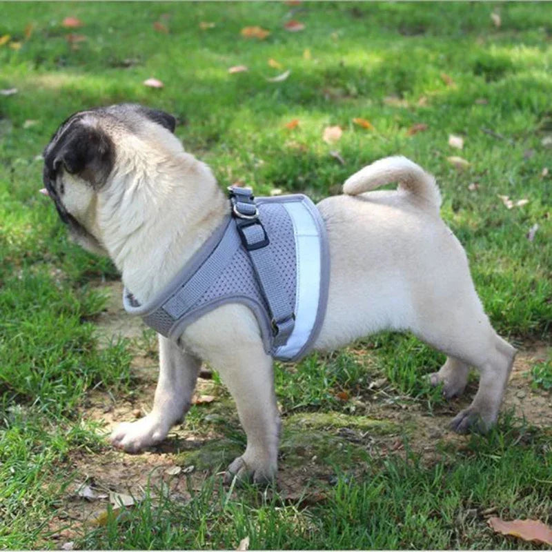 Adjustable Vest Dog Harness Pet Friendly Supplies