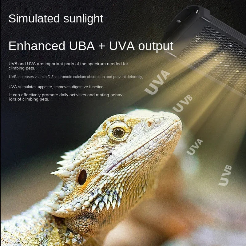 Reptile UVA+UVB Full Spectrum LED UV Lamp 10.0/20.0 Terrarium Lamp for Reptile Vivarium Calcium Supply Pet Friendly Supplies