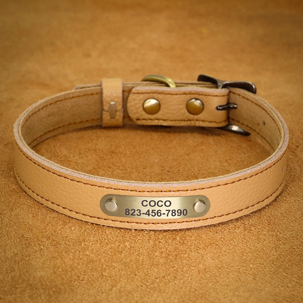 Personalised Leather Puppy Collar for  Dog - Pet Friendly Supplies