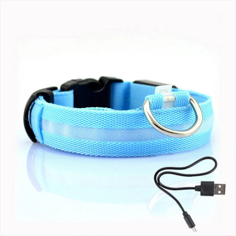 Luminous Led Collar Pet Friendly Supplies