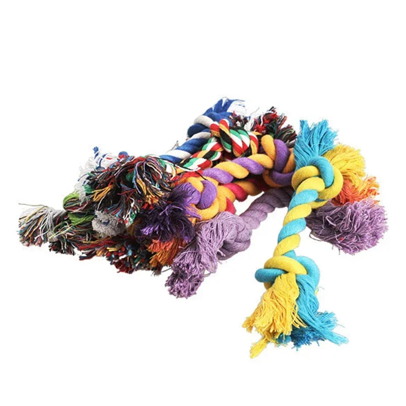 Colorful assortment of dog rope toys, featuring various knotted designs, ideal for chewing and interactive play, enhancing dental health.