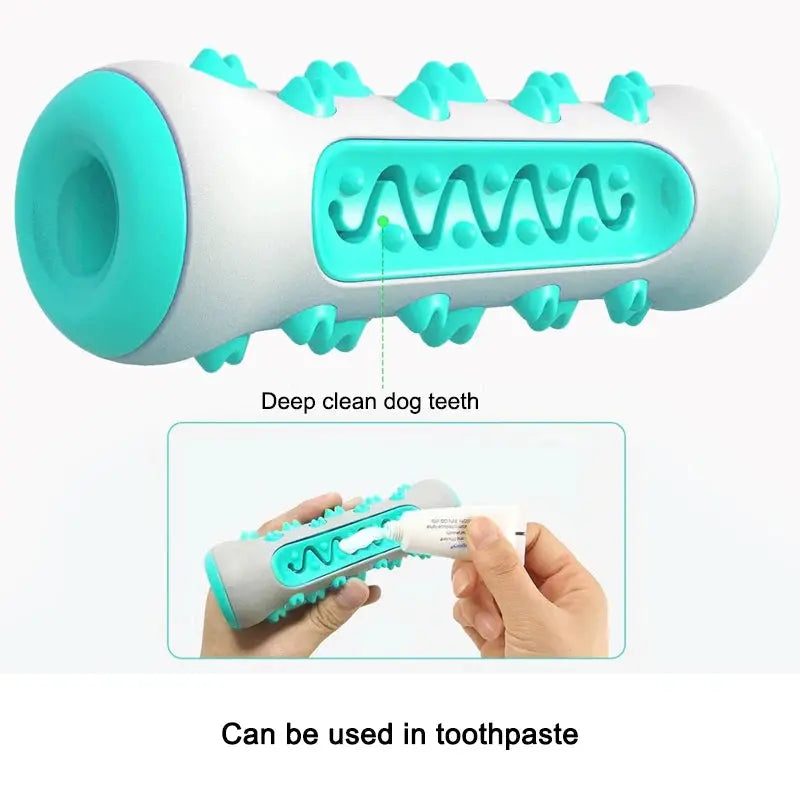 Squeaky Clean Durable Dog Molar Toothbrush Toy. - Pet Friendly Supplies