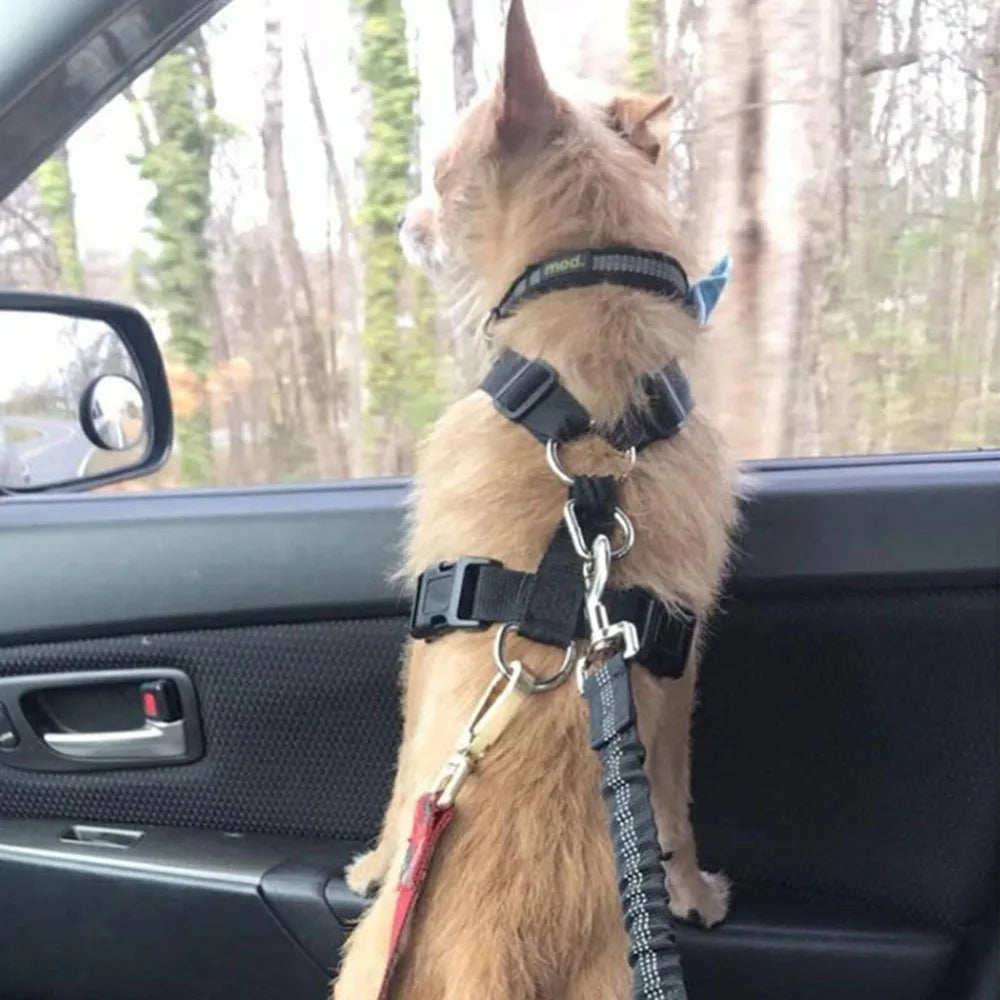 Pet Car Seat Belt Pet Friendly Supplies