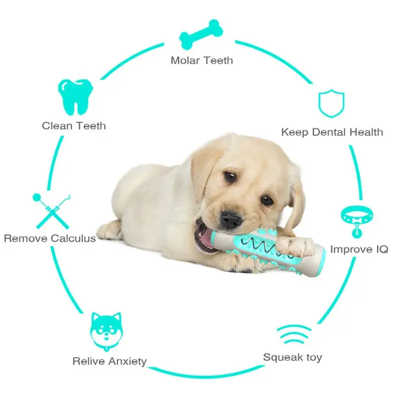 Squeaky Clean Durable Dog Molar Toothbrush Toy. - Pet Friendly Supplies