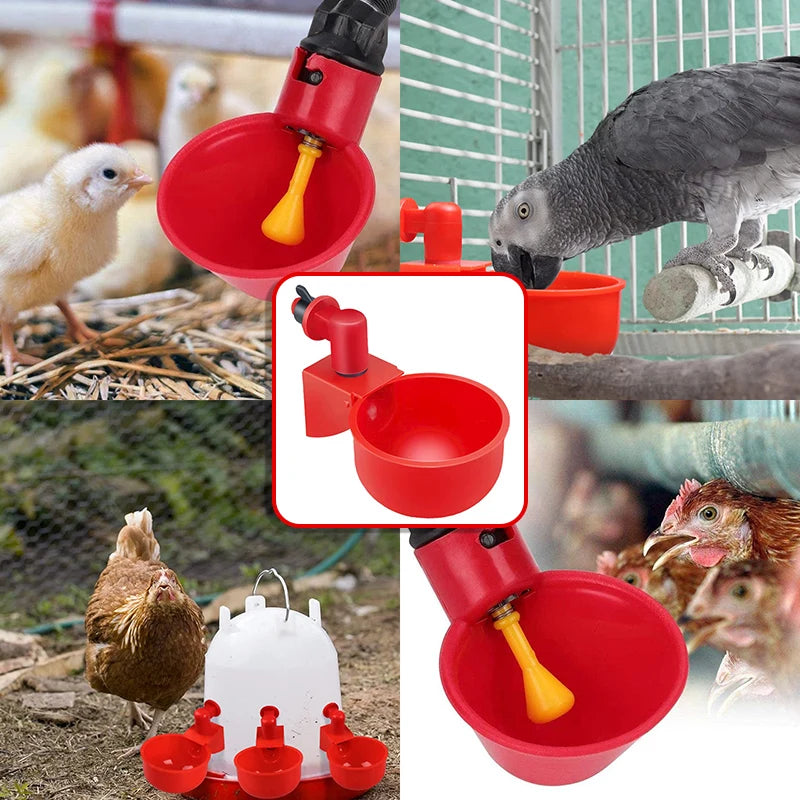 Chicken Drinking Cup Automatic Drinker - Pet Friendly Supplies