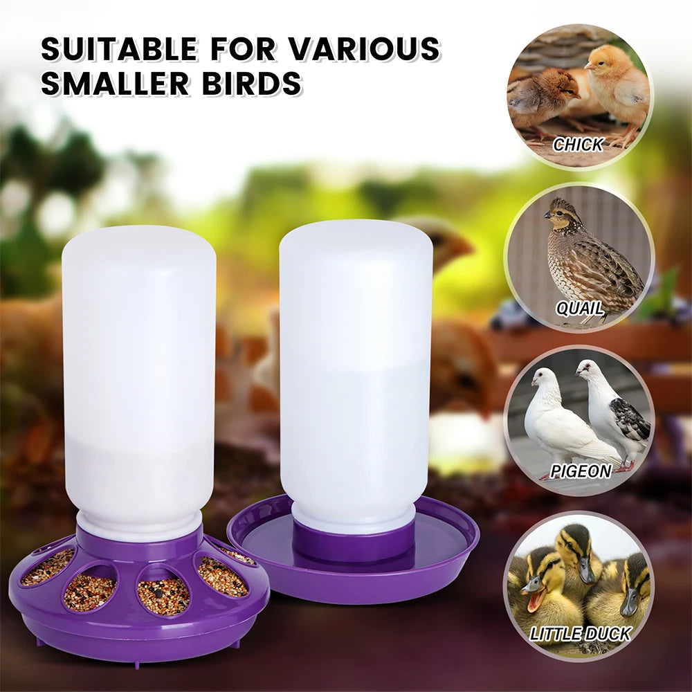 1L Chicken Feeder Bucket Water Fountain - Pet Friendly Supplies