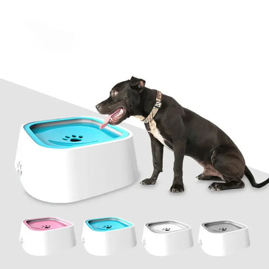 Dog Drinking Water Bowls