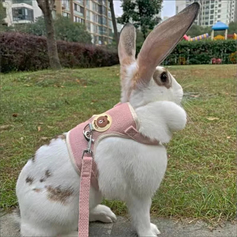 Cute Rabbit Harness and Leash Set Bunny Pet Accessories Pet Friendly Supplies