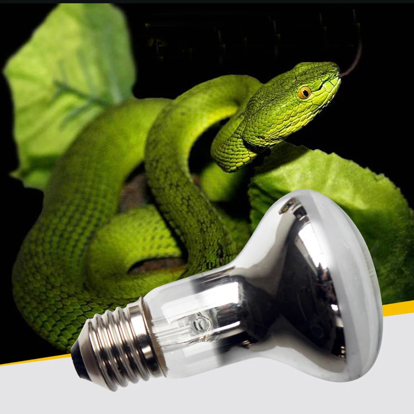 40W 60W UVA Reptile Lamp Bulb Turtle Basking UV Light Bulbs Heating Lamp Amphibians Lizards Temperature Controller 220V - Pet Friendly Supplies