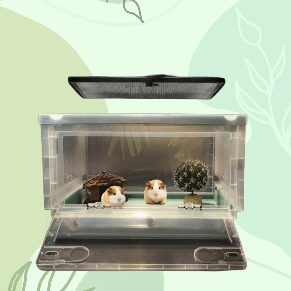 Modern Acrylic Cage For Small Pets Pet Friendly Supplies