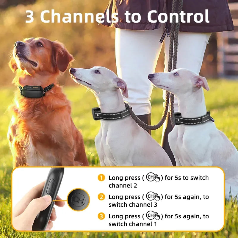 Electric Dog Training Collar Pet Friendly Supplies