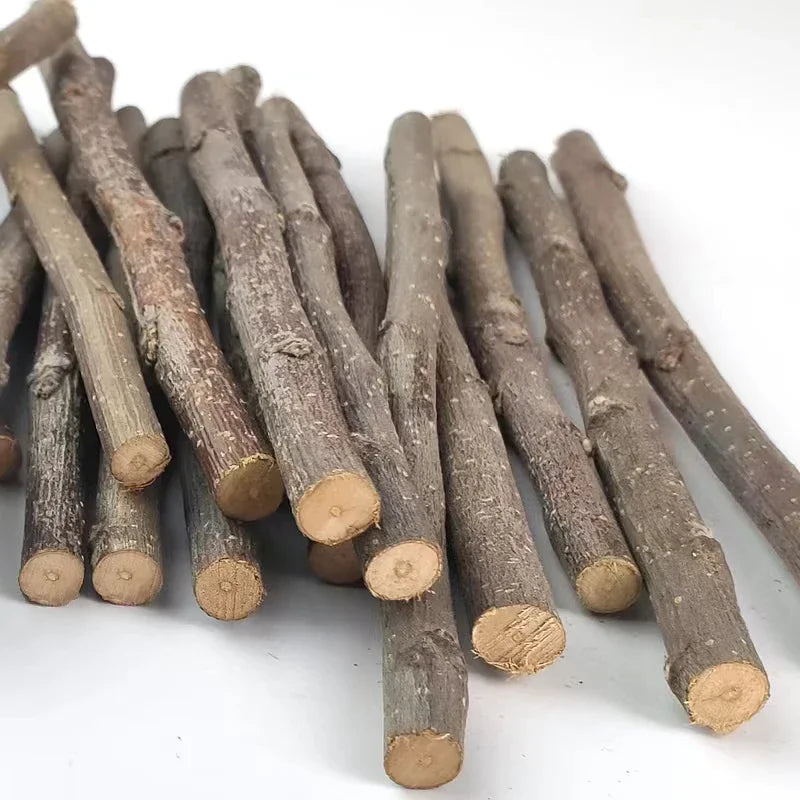 Teeth Grinding Apple Tree Stick Pet Friendly Supplies