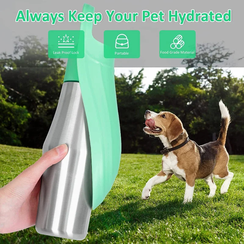 Large Stainless Steel Portable Dog Water Bottle Pet Friendly Supplies