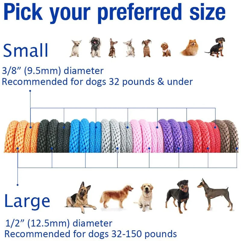 Premium Quality Strong 6 FT Training Rope Slip Leash Pet Friendly Supplies