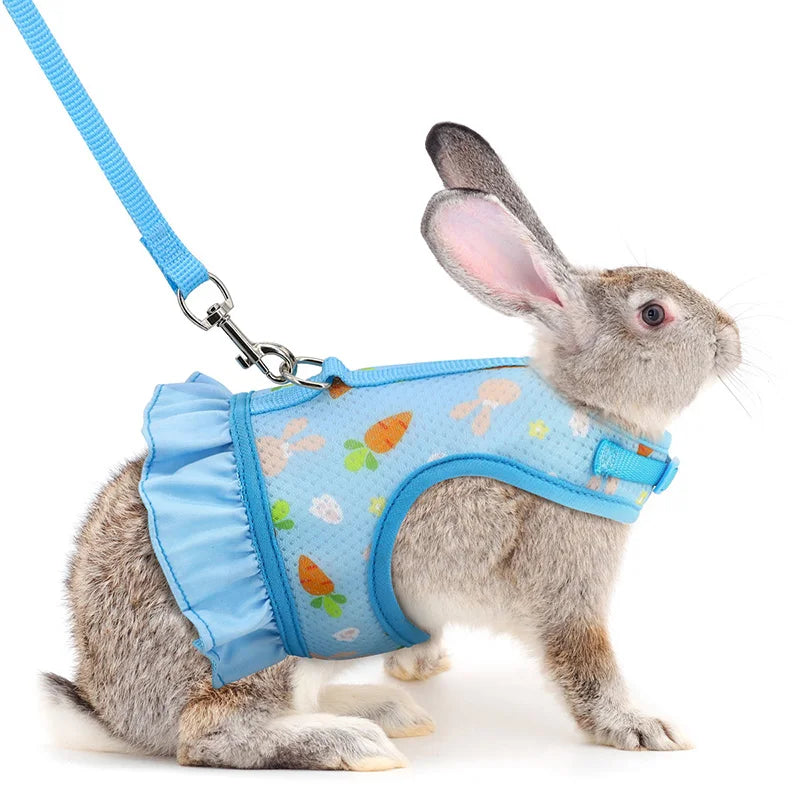 Rabbit Harness with Leash Cute Adjustable Buckle Breathable Mesh Pet Friendly Supplies