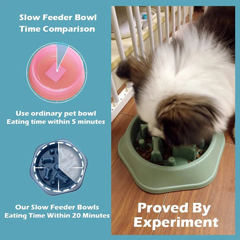 Slow Food Bowl Pet Friendly Supplies