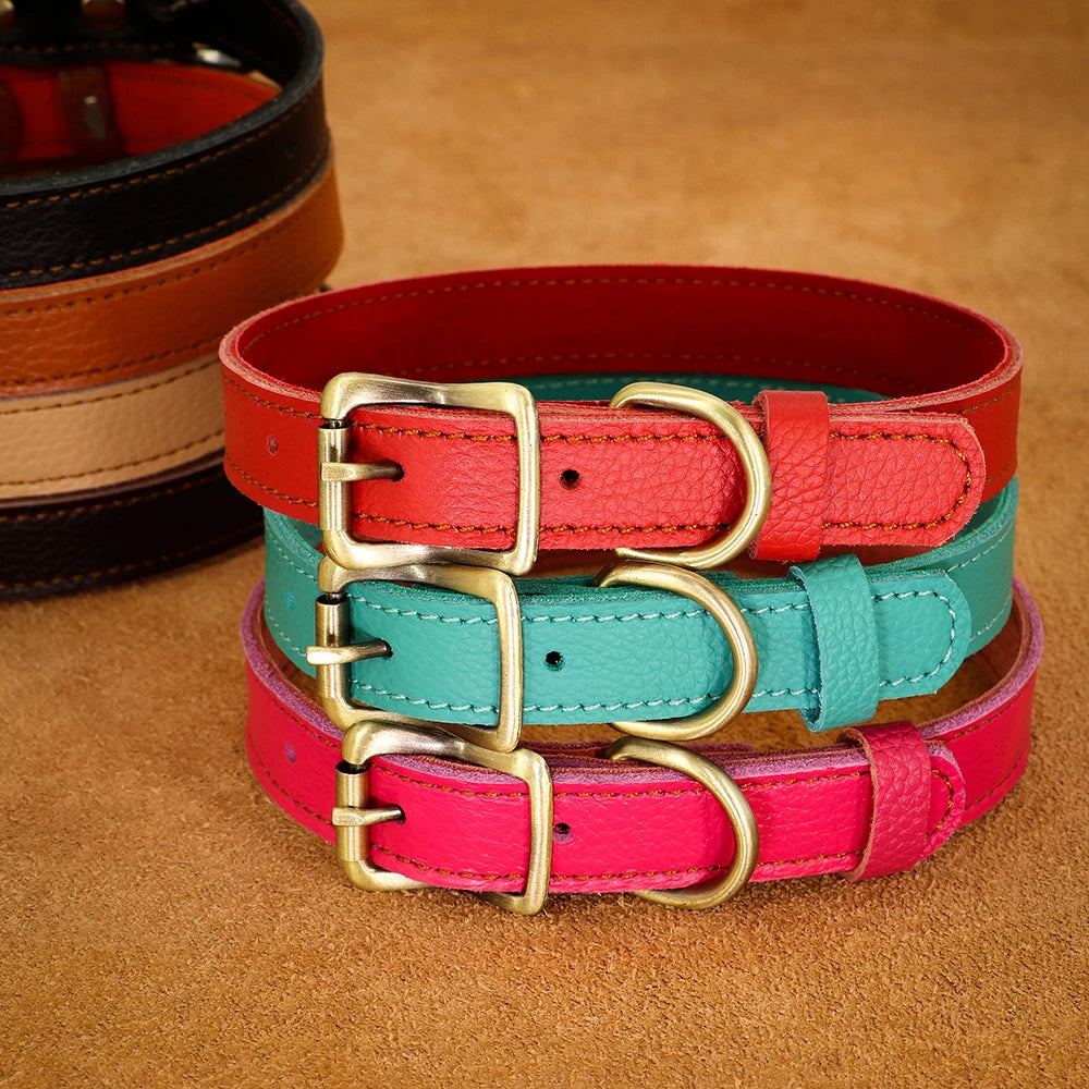 Personalised Leather Puppy Collar for  Dog - Pet Friendly Supplies