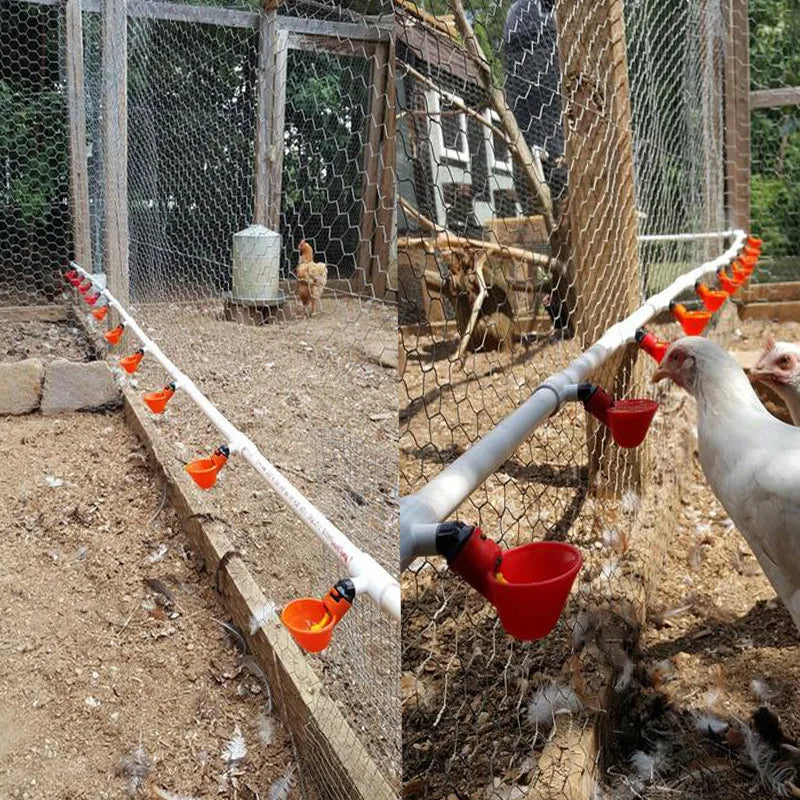 10Pcs Automatic Chicken Drinking Water System - Pet Friendly Supplies