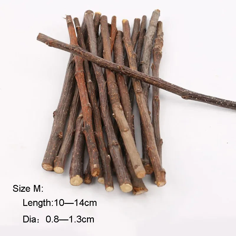 Teeth Grinding Apple Tree Stick Pet Friendly Supplies