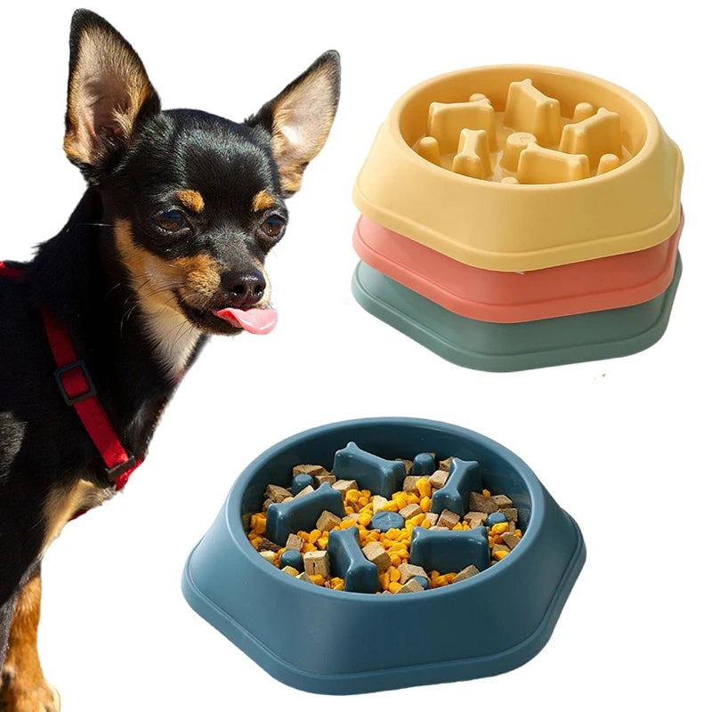 Slow Food Bowl Pet Friendly Supplies