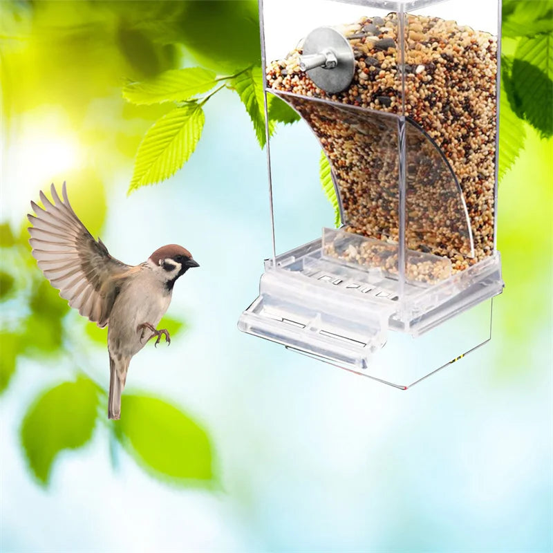 Automatic Feeding No Mess Square Bird Feeders In Transparent And White - Pet Friendly Supplies