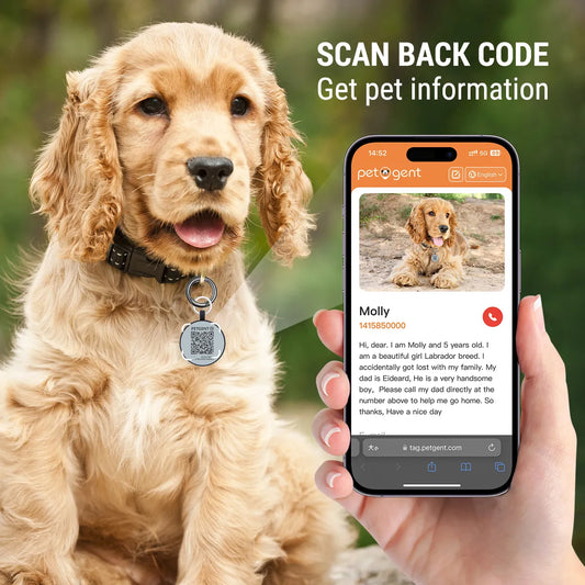 Personalised ID Tag, Scan QR Code & Get Pet Information Online - Pet Friendly Supplies