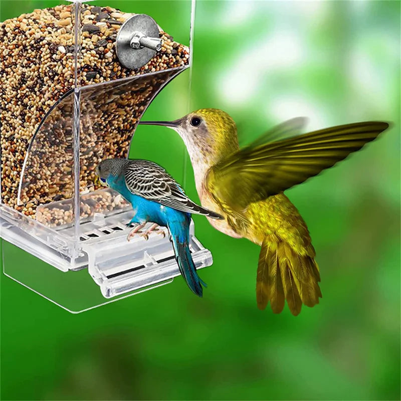 Automatic Feeding No Mess Square Bird Feeders In Transparent And White - Pet Friendly Supplies