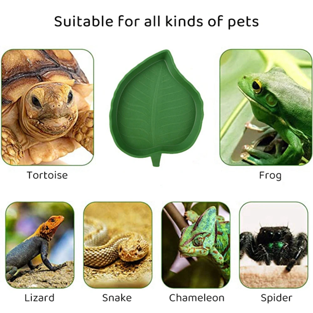 Reptile Dish Food/Water Feeder Leaf Shape Pet Friendly Supplies